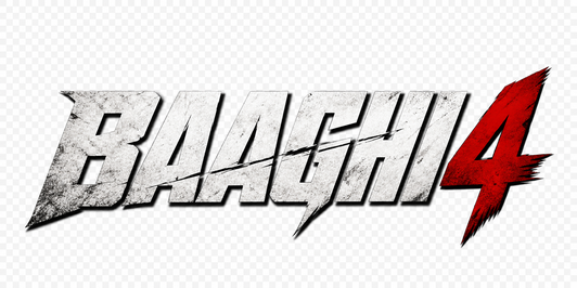 baaghi 4